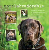 Morelabradorable: Follow the adventures of Barnaby the labrador and his friends
