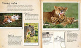 My Big Cats Journal: In search of lions, leopards, cheetahs and tigers