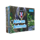 No Nonsense Phonics Collection - 24 Books