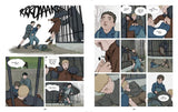 When the Sky Falls: Graphic Novel (Bestselling Adventure Stories)