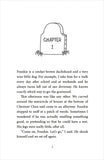 The Magpie Riddle: a Goldfish Boy Mystery (Paperback)