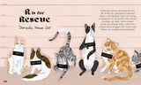 Catphabet: A whimsical celebration of our favourite feline friends, for fans of Grumpy Cat and What Cats Want