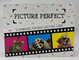 Picture Perfect - 30 Humorous Birthday Greeting Cards