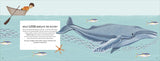 The sea book