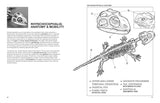 The Reptiles Coloring Book