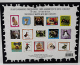 Picture Perfect - 30 Humorous Birthday Greeting Cards