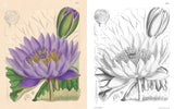 The Kew Gardens World of Flowers Colouring Book