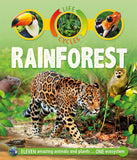 Life Cycles Rainforest