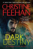 Dark Destiny (Dark Carpathian #13)
