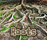 All About Roots (All About Plants) All About Roots (All About Plants)