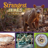 The Strangest Animals in the World (All About Animals)