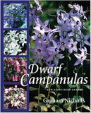 Dwarf Campanulas