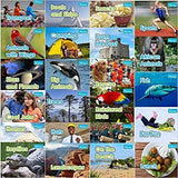 No Nonsense Phonics Collection - 24 Books