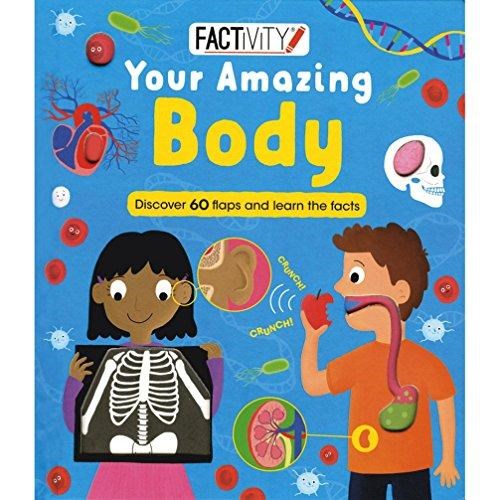 Factivity Your Amazing Body: Discover 70 Flaps and 100+ Facts (Factivity Lift the Flap)