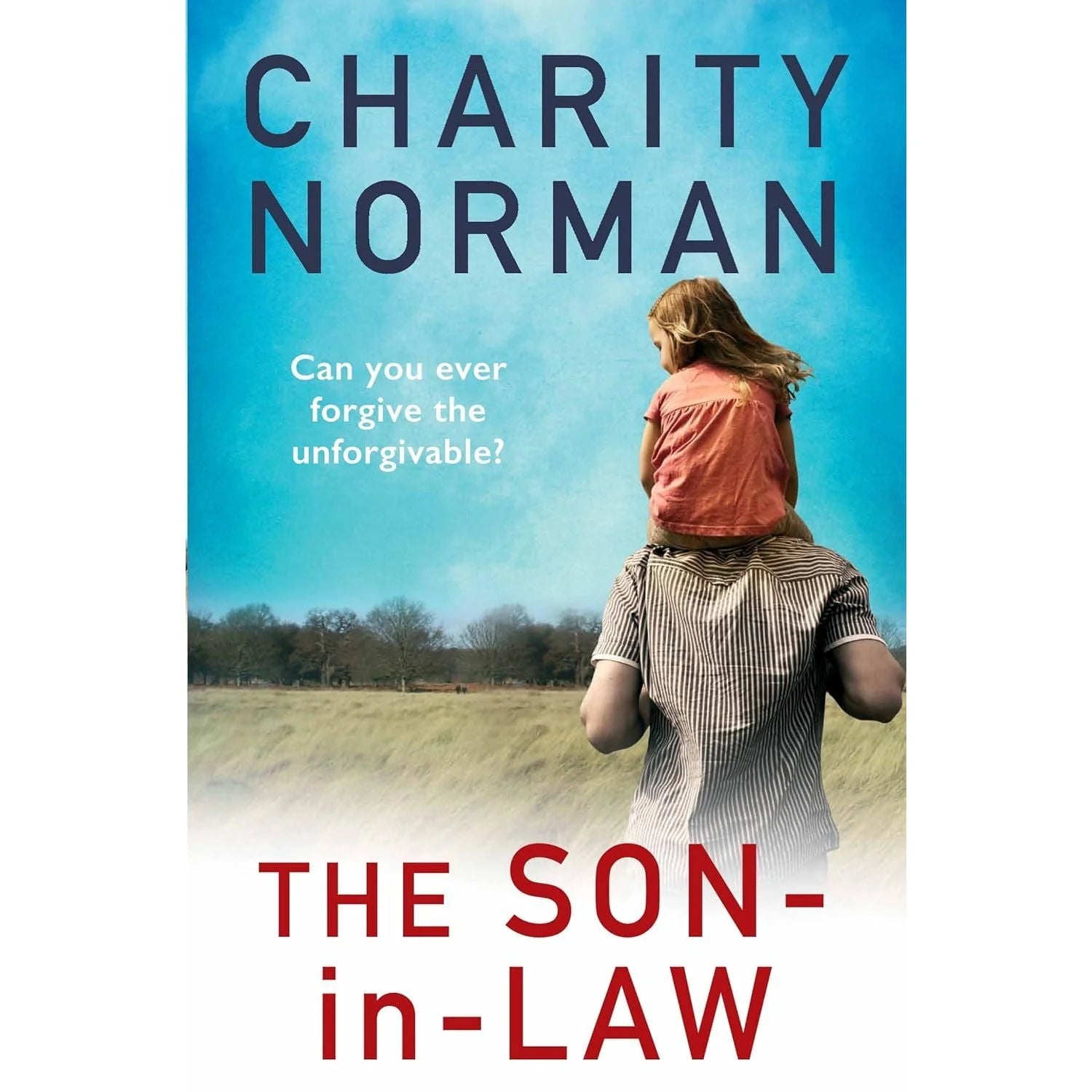 Charity Norman 3-book set (After the fall, The son-in-law, See you in September)