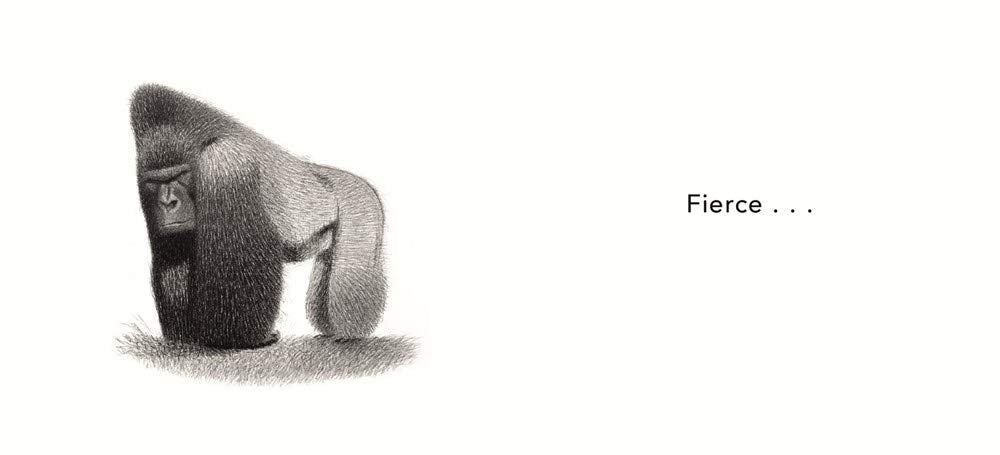 Lovely Beasts: The Surprising Truth