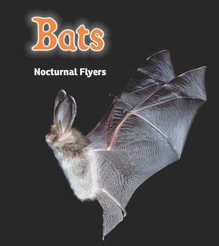 Bats: Nocturnal Flyers (Night Safari)