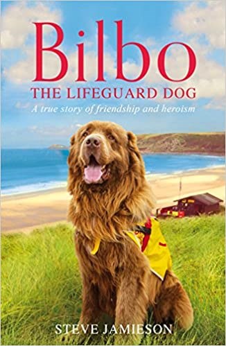 Bilbo the Lifeguard Dog