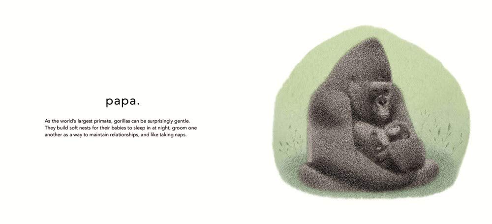 Lovely Beasts: The Surprising Truth