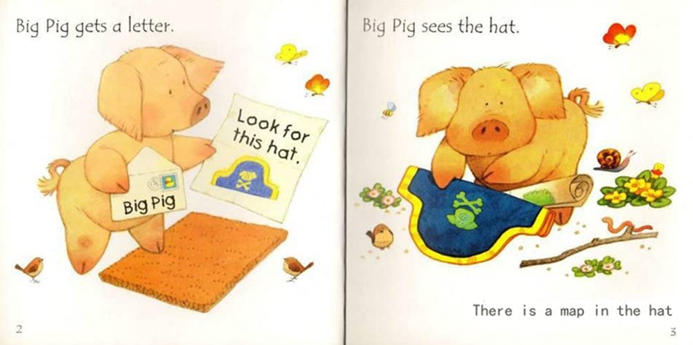Usborne Phonics Readers - 12 Books (No Case)