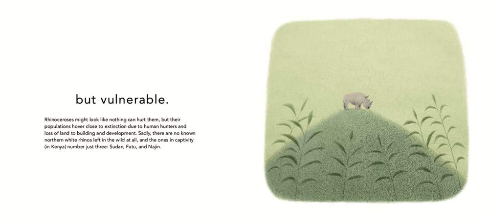 Lovely Beasts: The Surprising Truth