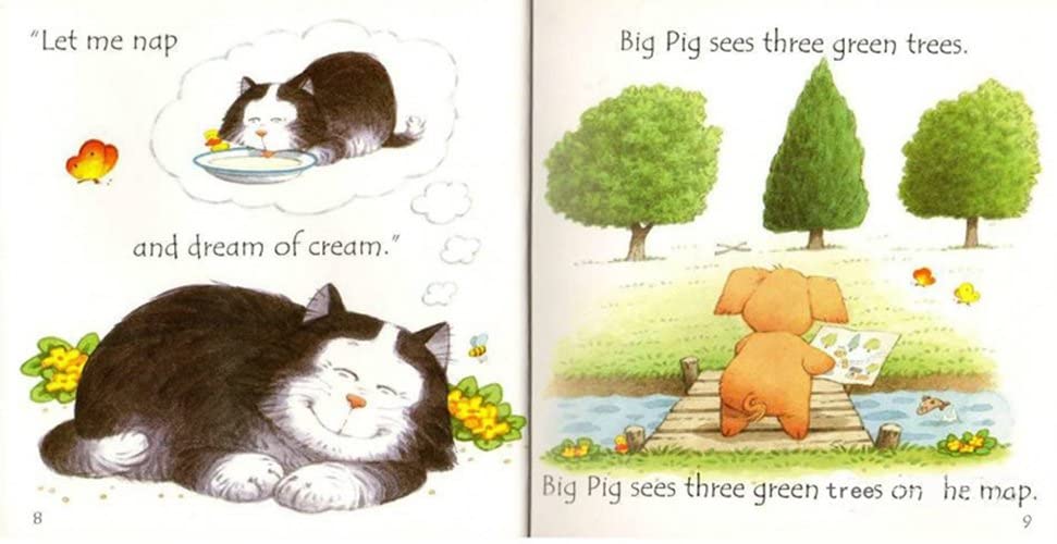 Usborne Phonics Readers - 12 Books (No Case)