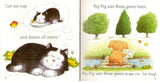 Usborne Phonics Readers - 12 Books (No Case)
