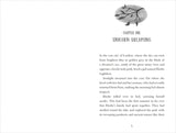 Unicorn Seekers 2: The Secret Unicorn Society