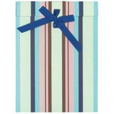 Large Stripe Gift Bag