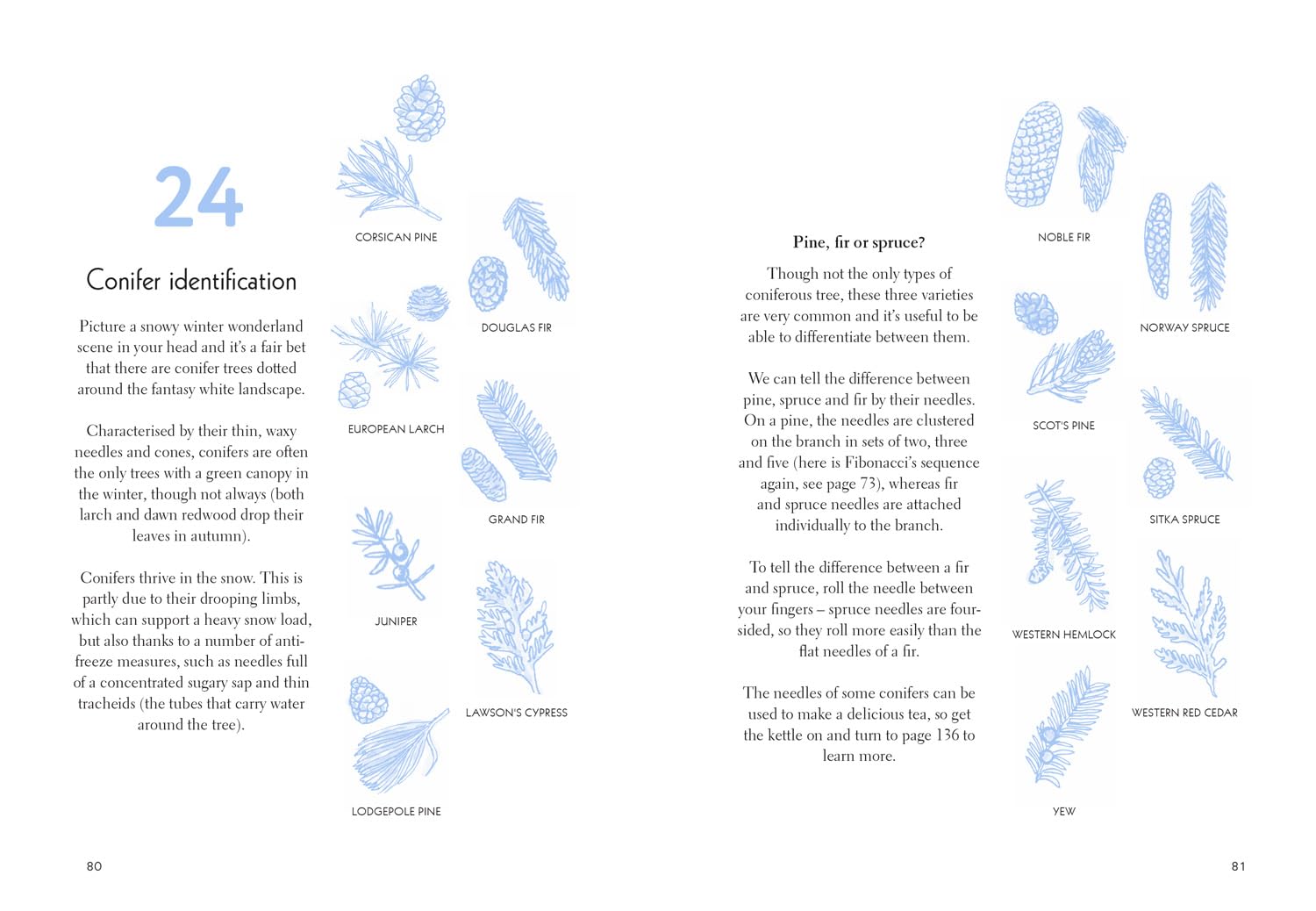 Fifty Things to Do in the Snow: The new guidebook for outdoor adventurers, to brave the cold and reconnect with nature [hardcover]