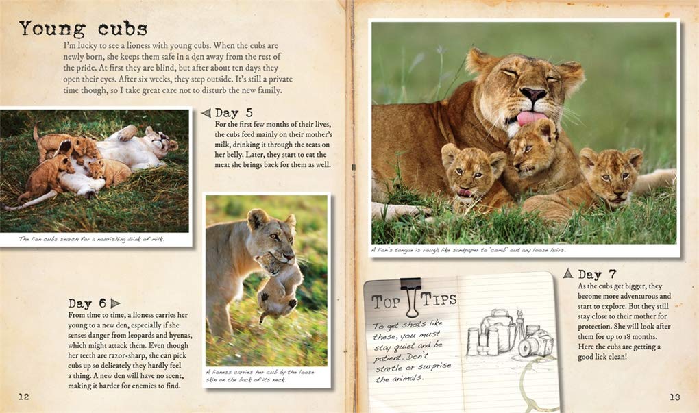 My Big Cats Journal: In search of lions, leopards, cheetahs and tigers