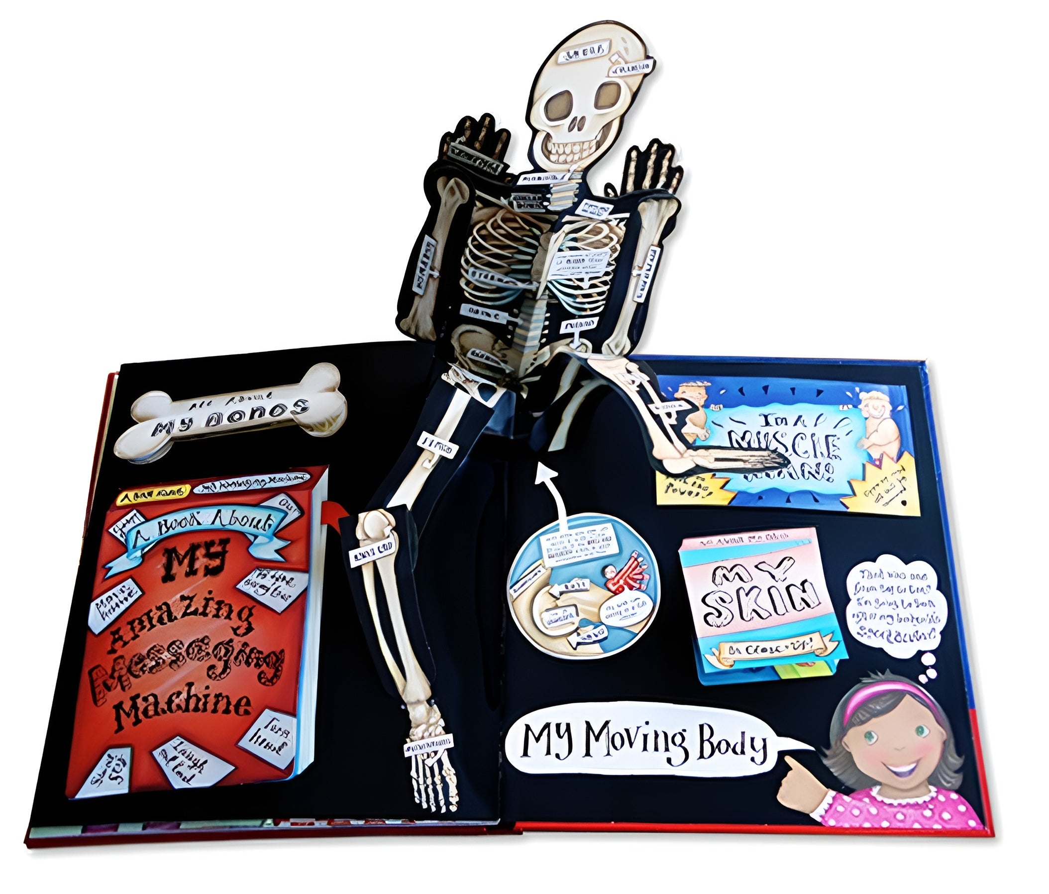 My Pop-Up Body Book