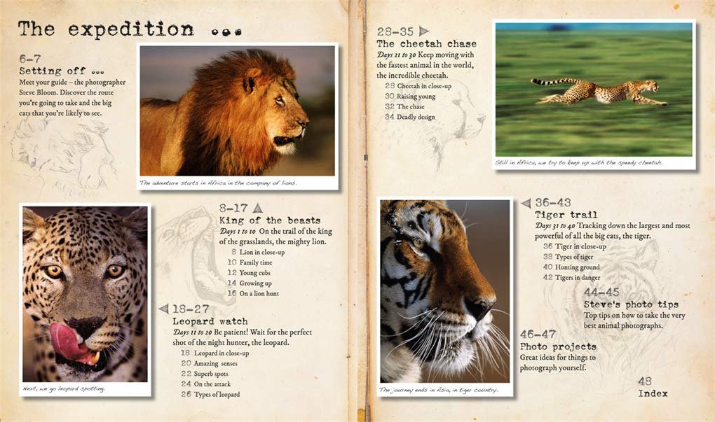 My Big Cats Journal: In search of lions, leopards, cheetahs and tigers
