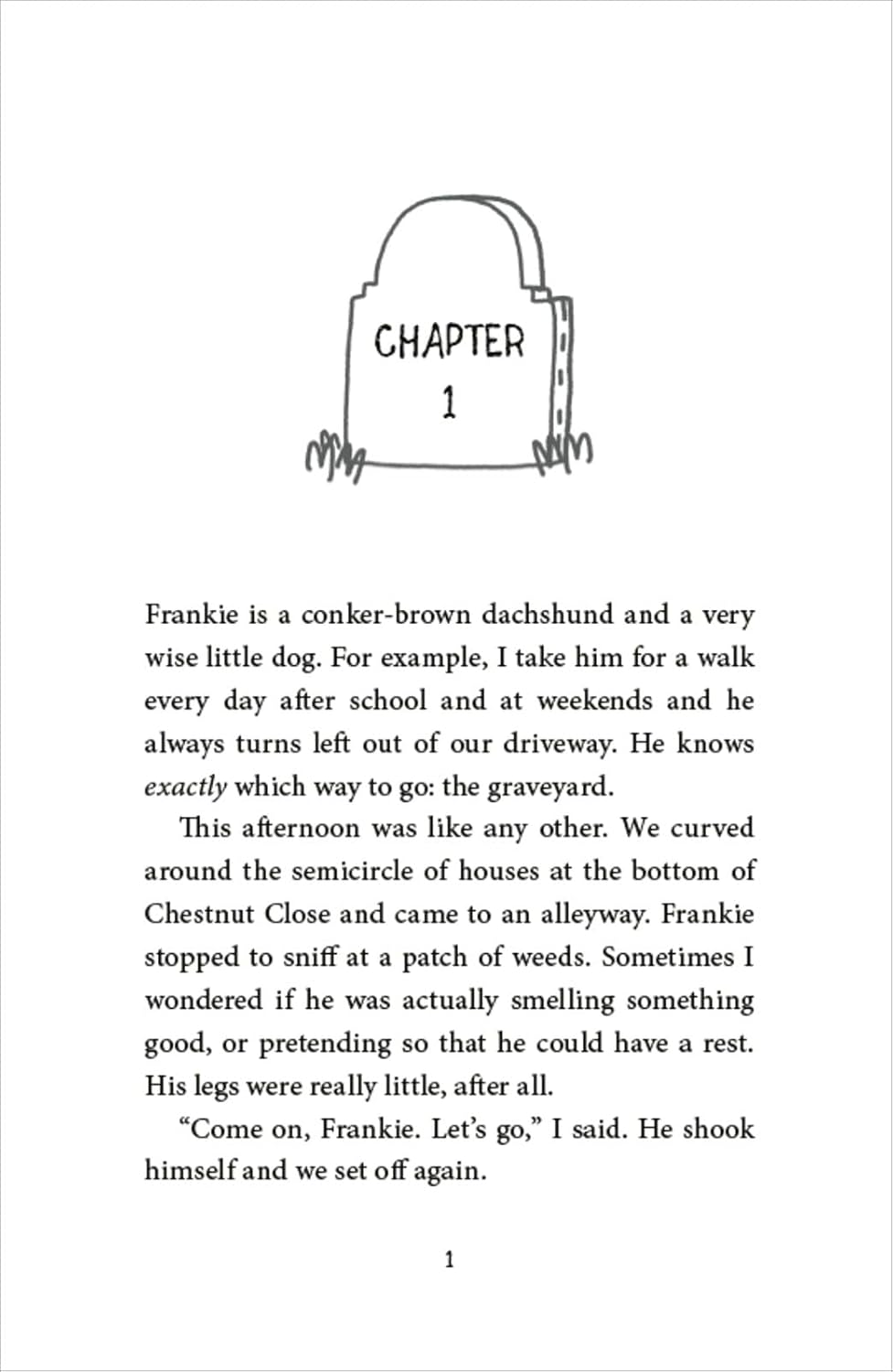 The Magpie Riddle: a Goldfish Boy Mystery (Paperback)