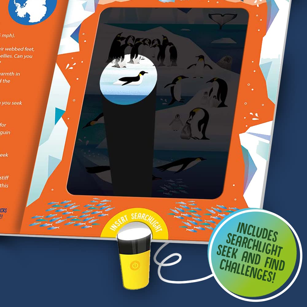 Seek and Find Animals (Seek and Find-Magic Searchlight Books)