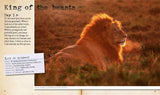My Big Cats Journal: In search of lions, leopards, cheetahs and tigers