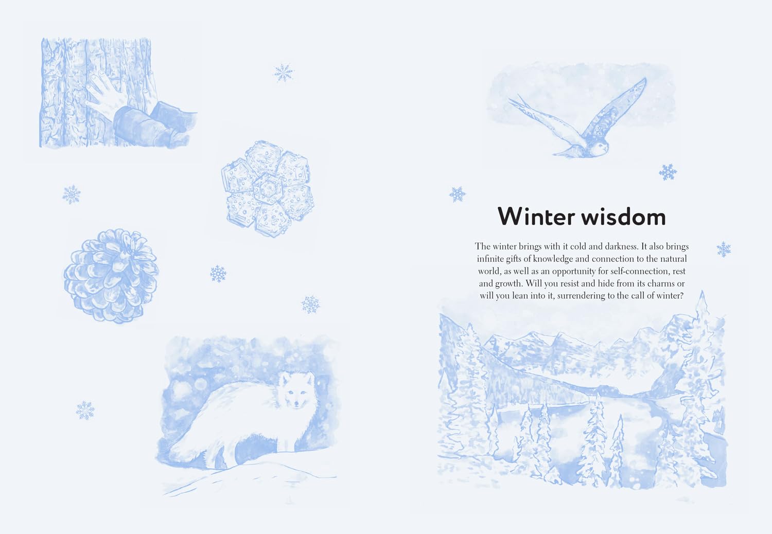 Fifty Things to Do in the Snow: The new guidebook for outdoor adventurers, to brave the cold and reconnect with nature [hardcover]