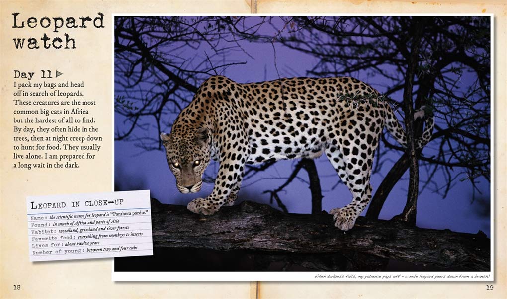 My Big Cats Journal: In search of lions, leopards, cheetahs and tigers