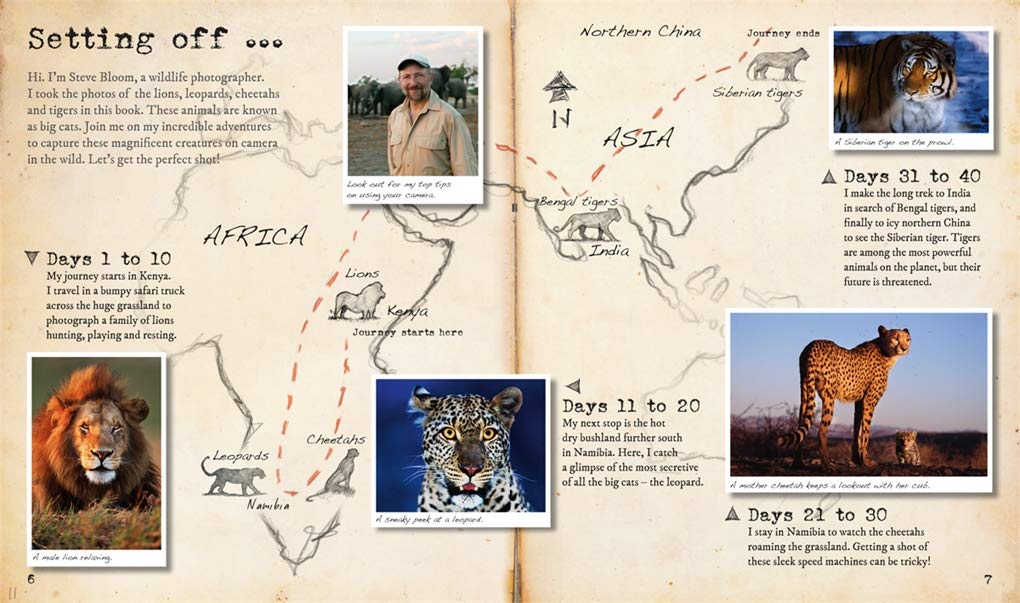 My Big Cats Journal: In search of lions, leopards, cheetahs and tigers