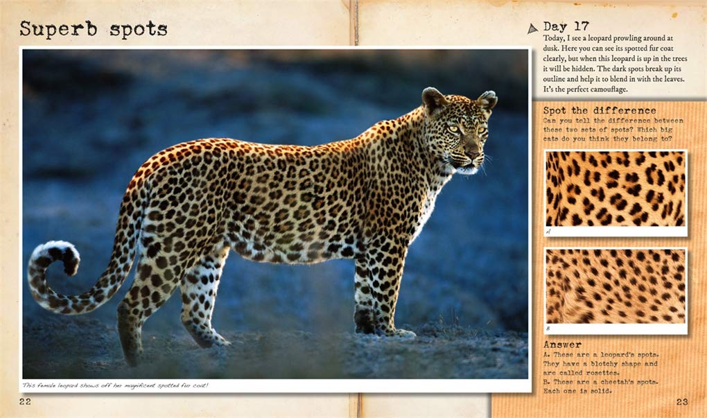 My Big Cats Journal: In search of lions, leopards, cheetahs and tigers