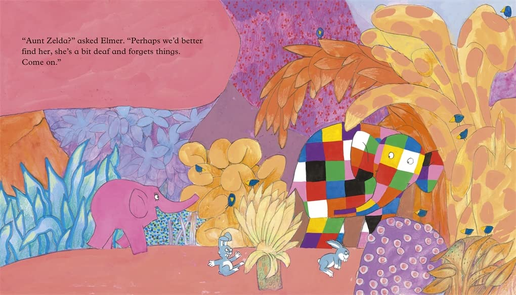 Elmer and the Gift (Elmer Picture Books)