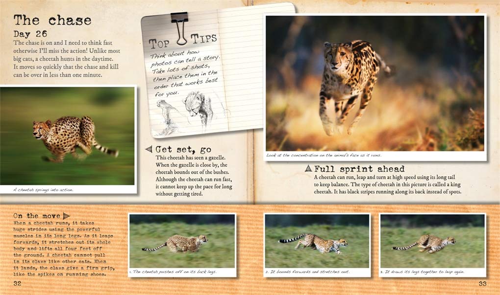 My Big Cats Journal: In search of lions, leopards, cheetahs and tigers