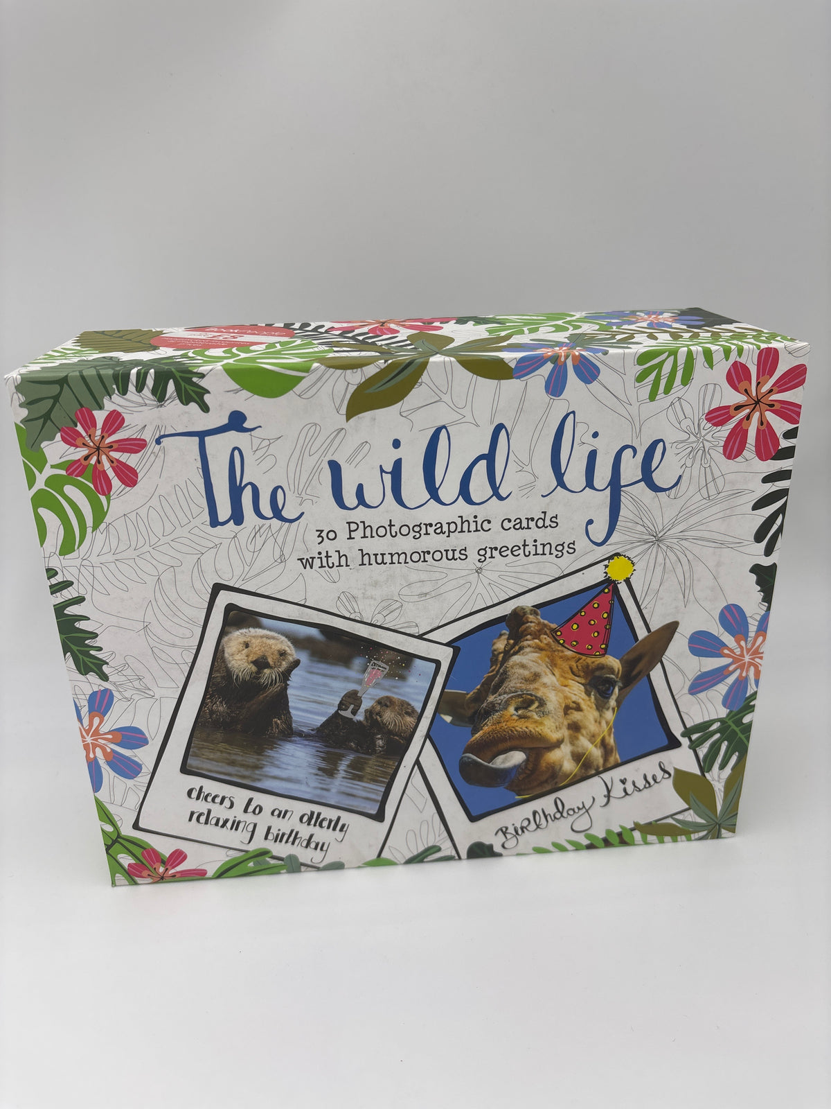 The Wild Life Box Set of 30 Animal Humorous Cards