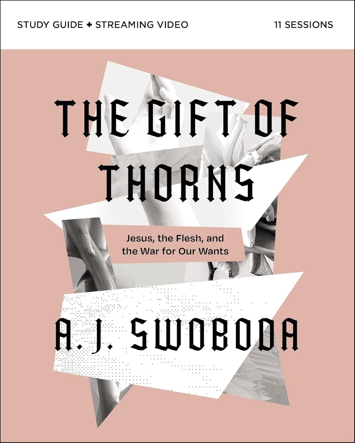 The Gift of Thorns Study Guide plus Streaming Video: Jesus, the Flesh, and the War for Our Wants