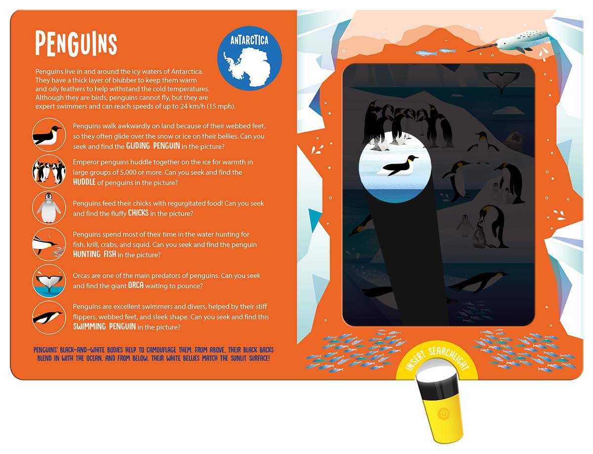 Seek and Find Animals (Seek and Find-Magic Searchlight Books)