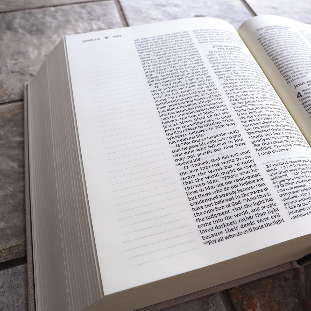 NRSVue, Holy Bible with Apocrypha, Journal Edition, Cloth over Board, Cream