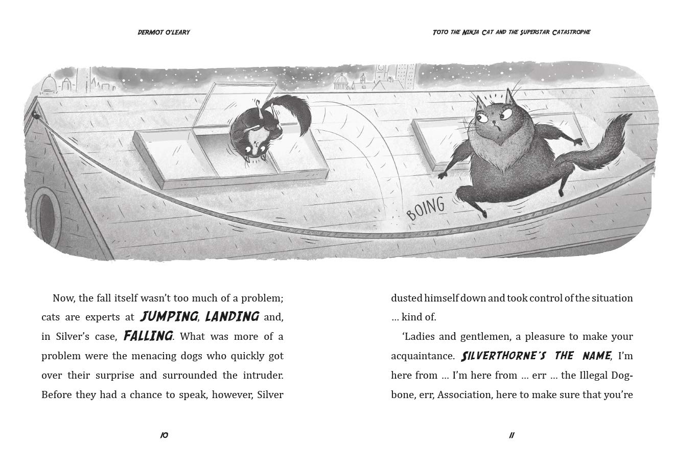 Toto the Ninja Cat and the Superstar Cat