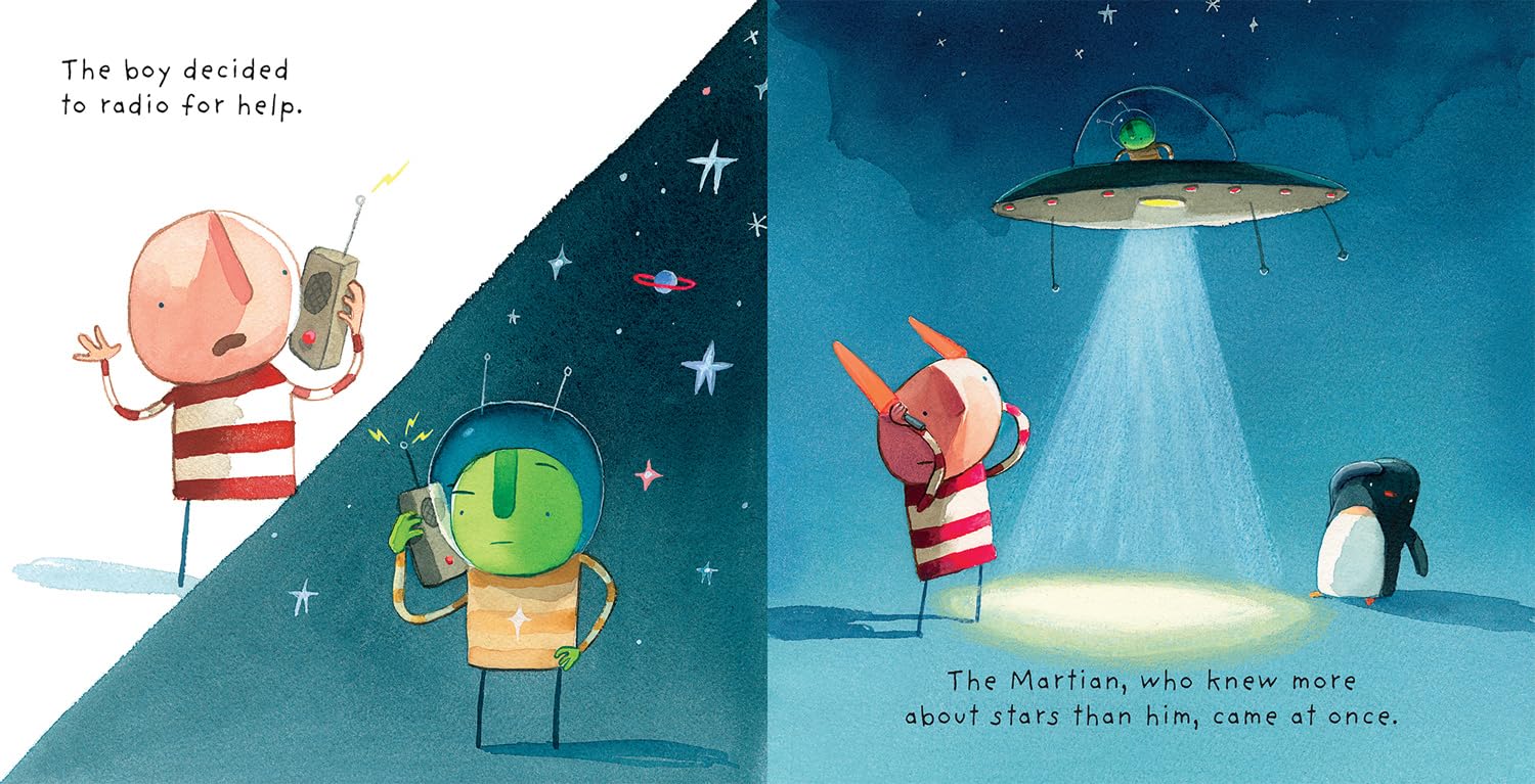 Where to Hide a Star picture book flat