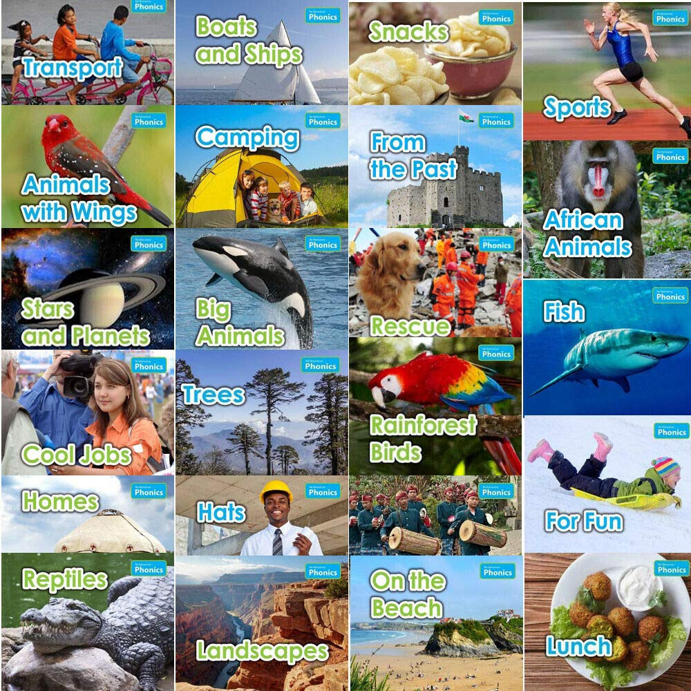 No Nonsense Phonics Collection - 24 Books