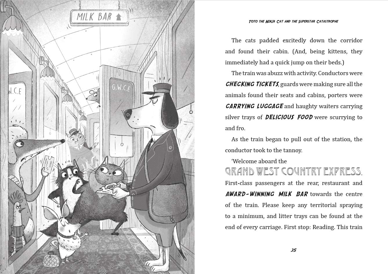 Toto the Ninja Cat and the Superstar Cat